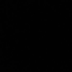 Meet your Posher, Jaylon